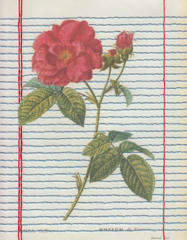 Embroidery art on black and white historical photography, paper lines on pink rose
