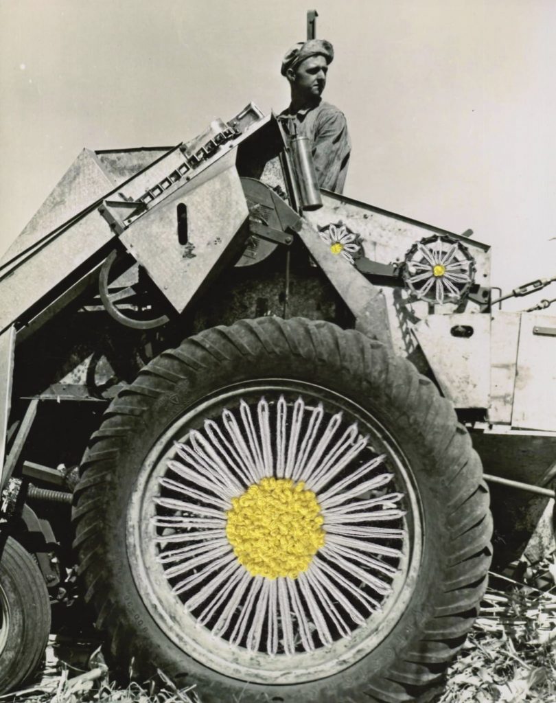 A white and yellow daisy embroidery art on a tractor wheel, part of a black and white historical photo of farming in America.
