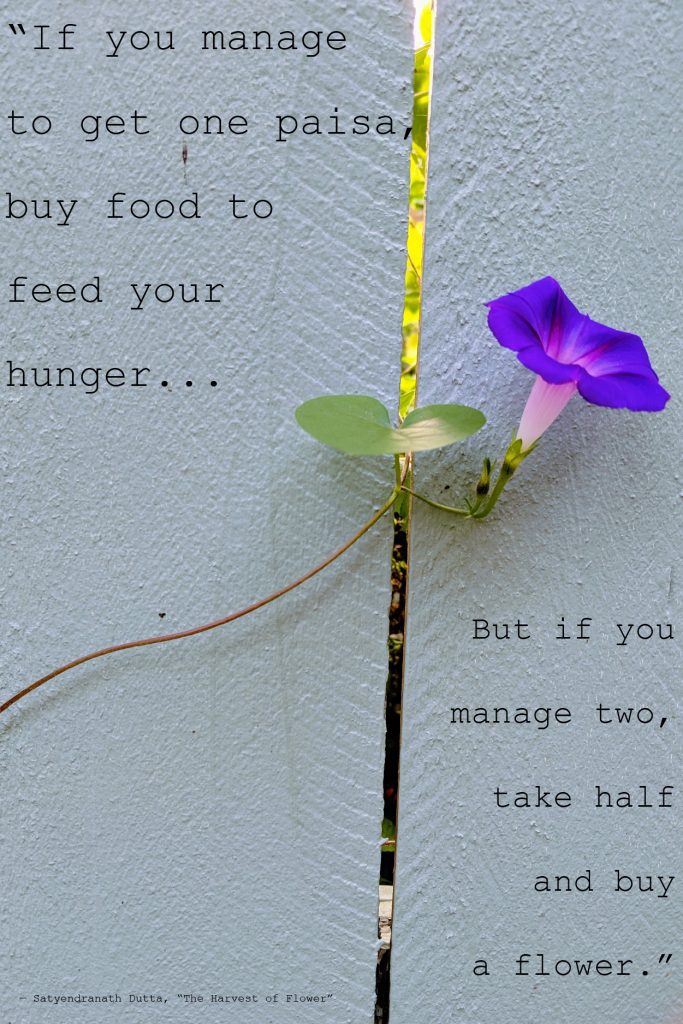 A poem by Satyendranath Dutta reads, "If you manage to get one paisa, buy food to feed your hunger... But if you manage two, take half and buy a flower."
