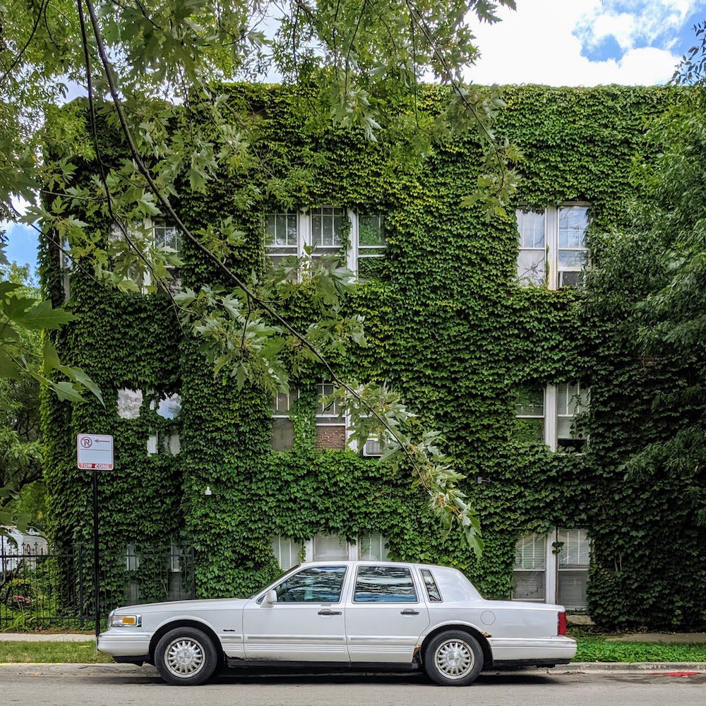 A white Oldsmobile is parked in front of a Chicago apartment building covered in green ivy.